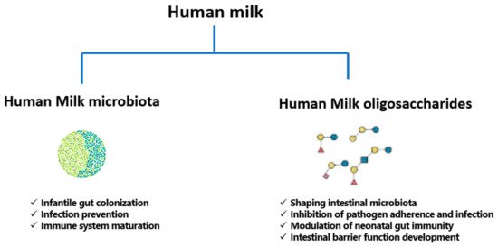 Nutrients 13 01123 g002 550