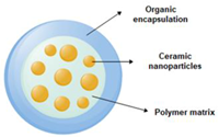 Pharmaceutics 13 00296 i007