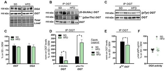 Ijms 22 03746 g002 550