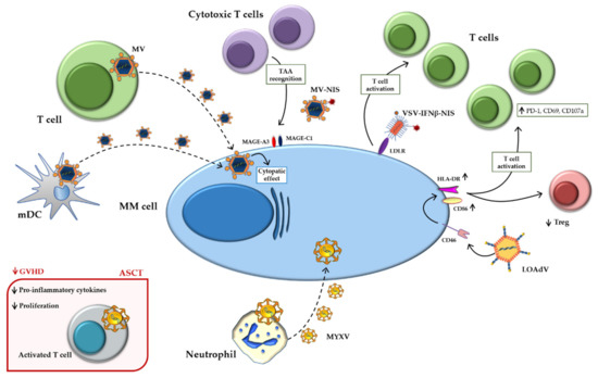 Ijms 22 02259 g002 550