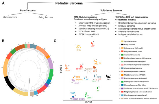 Pediatric Sarcoma | Encyclopedia MDPI