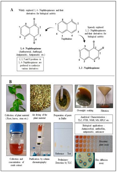 Coatings 11 00434 g001 550