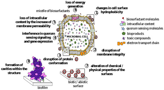 Pharmaceutics 13 00466 g002 550