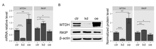 Ijms 22 03052 g003 550