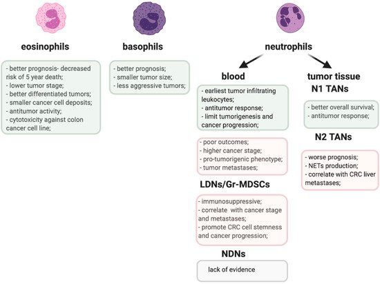 Colorectal Cancer(CRC) | Encyclopedia MDPI