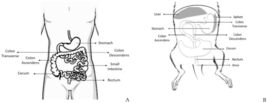 Vetsci 08 00059 g002 550