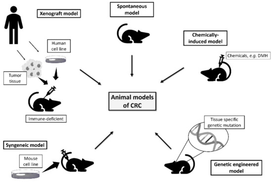 Vetsci 08 00059 g003 550