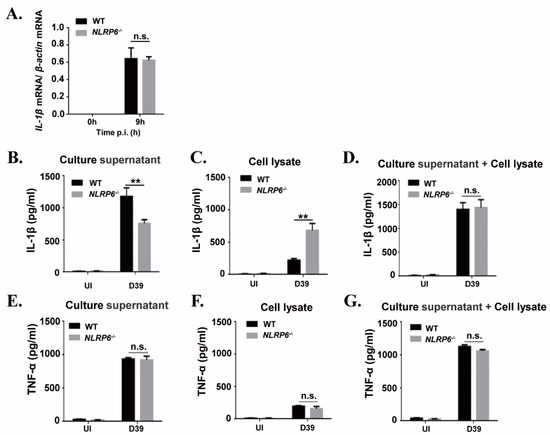 Ijms 22 03876 g002 550