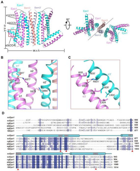 Ijms 22 03812 g002 550