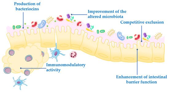 Nutrients 13 01016 g001 550