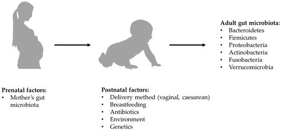 Ijms 22 03723 g001 550