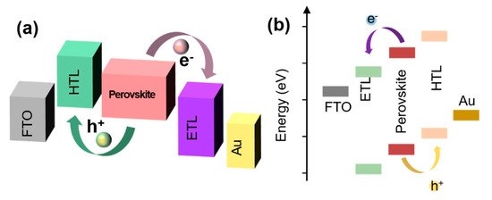 Nanomaterials 11 00775 g004 550