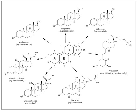 Biomolecules 11 00553 g001 550