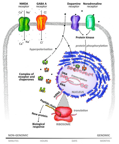 Biomolecules 11 00553 g002 550