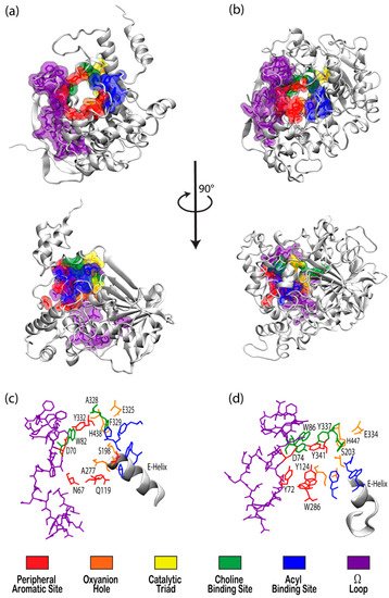 Biomolecules 11 00580 g001 550