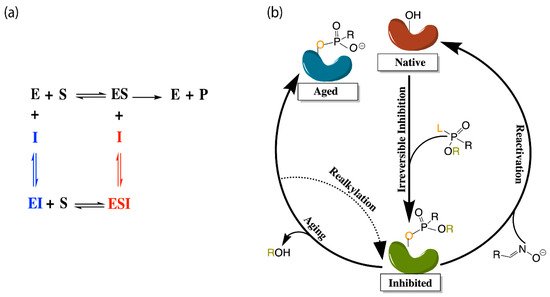 Biomolecules 11 00580 g002 550