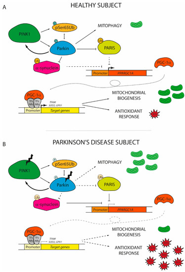 Ijms 22 03487 g002 550