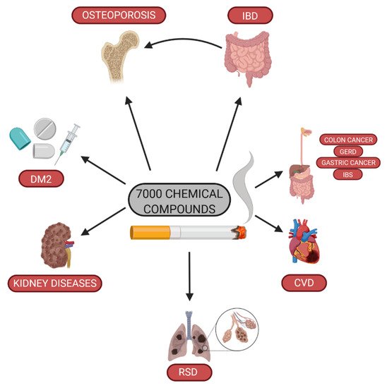 Smoking and Osteoporosis in IBD Encyclopedia MDPI