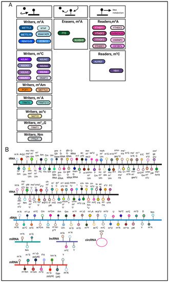 Ijms 22 01949 g001 550