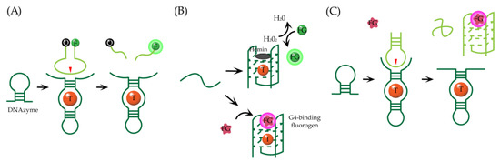 Chemosensors 09 00054 g002 550