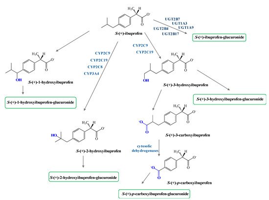 Pharmaceutics 13 00414 g002 550