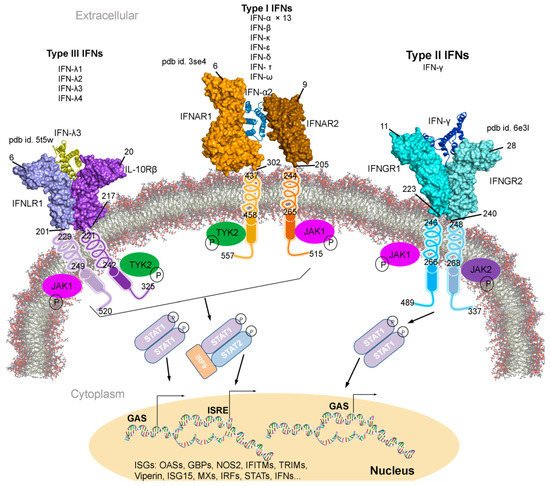 Biomolecules 11 00622 g001 550