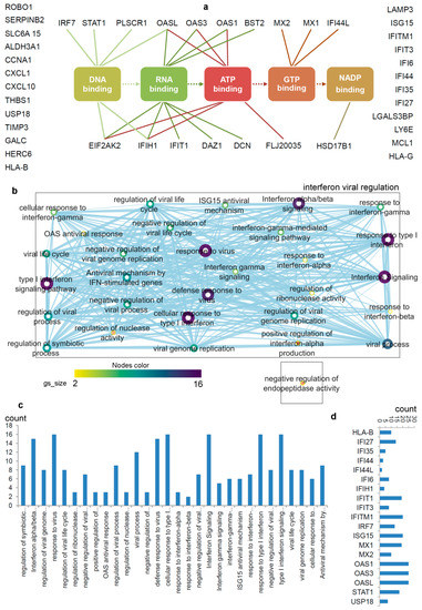 Biomolecules 11 00622 g002 550