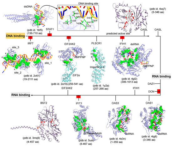 Biomolecules 11 00622 g004 550