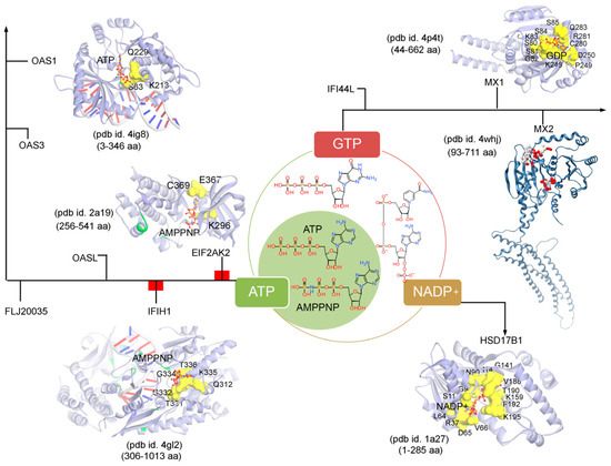 Biomolecules 11 00622 g005 550