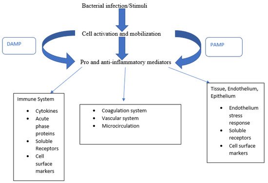 Biomedicines 09 00311 g001 550