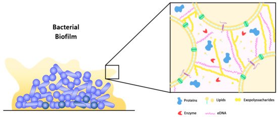 Nanomaterials 11 01046 g001 550