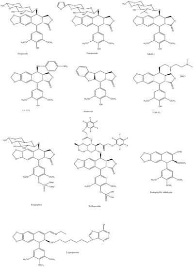 Biomolecules 11 00603 g007 550