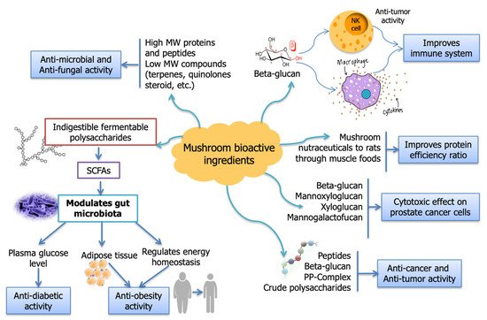 Molecules 26 02463 g001 550