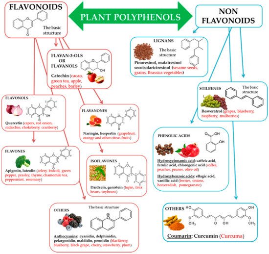 Antioxidants 10 00507 g001 550