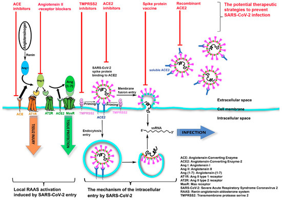 Pathogens 10 00379 g001 550