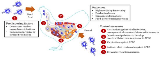 Pathogens 10 00467 sch001 550