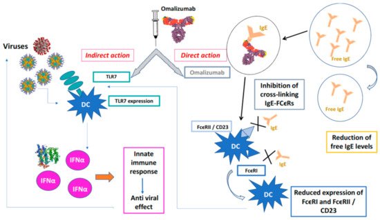 Biomedicines 09 00348 g001 550