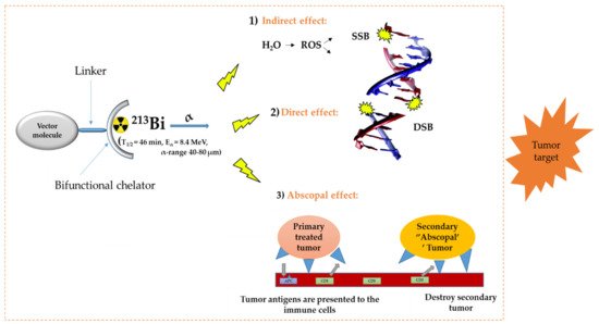 Pharmaceutics 13 00599 g001 550