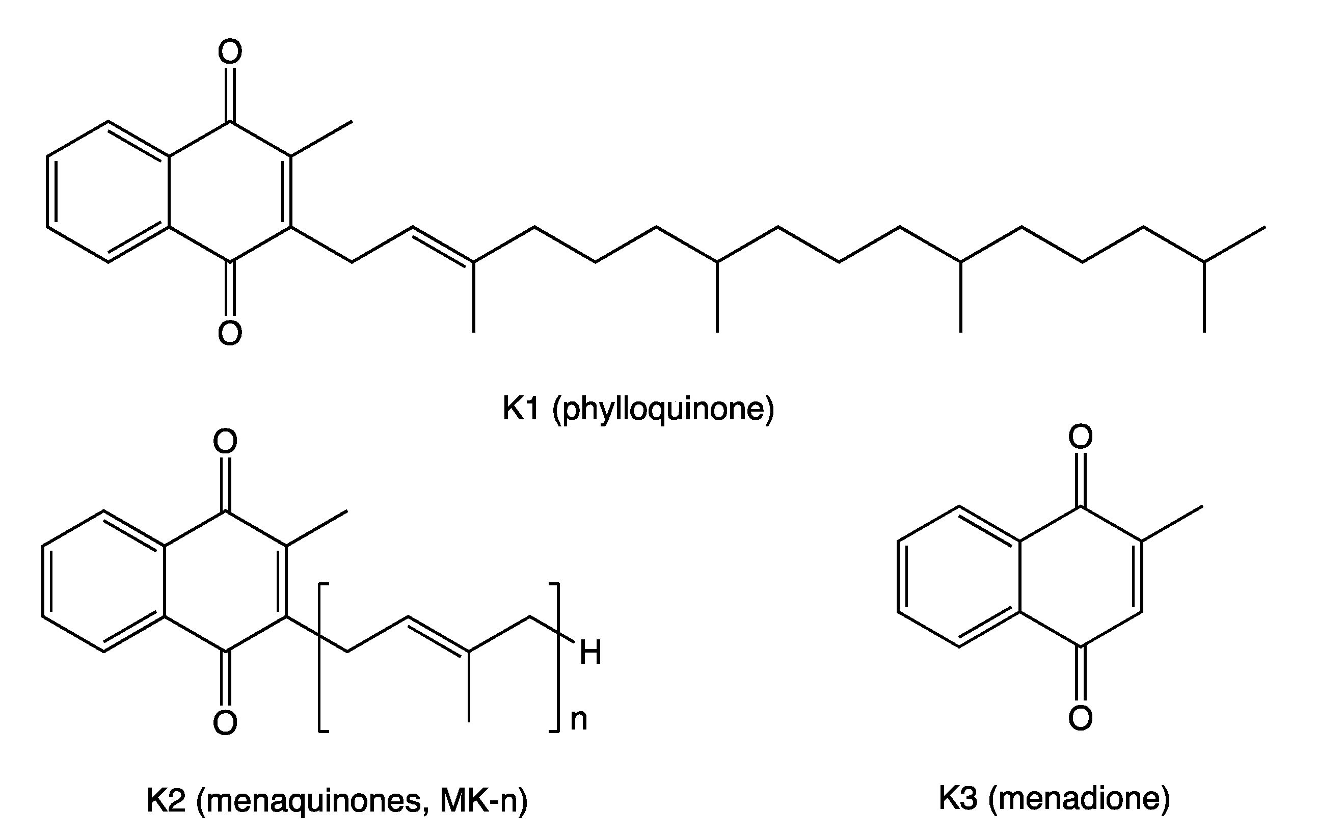 Vitamin K And Age Associated Diseases Encyclopedia MDPI