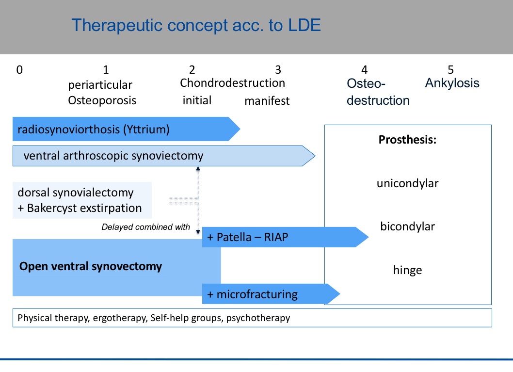 Figure 1: Therapeutic concept for the rheumatic knee acc. to Larsen, Dale and Eek