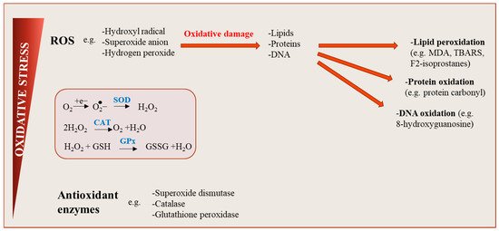 Antioxidants 10 00622 g002 550