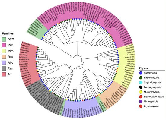 Cells 10 01039 g003 550