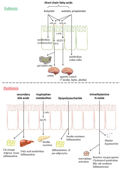 Nutrients 13 01389 g001 550