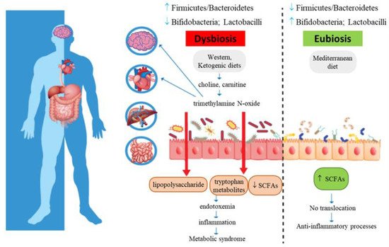 Nutrients 13 01389 g002 550