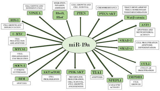 Ijms 22 04697 g001 550