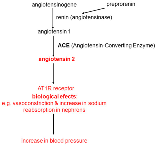 Ijms 22 04503 g001 550