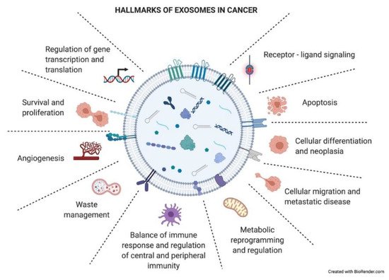 Cancers 13 02147 g004 550