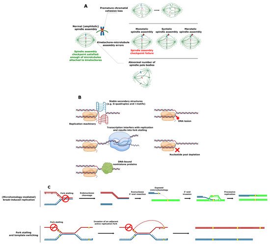 Genes 12 00699 g002a 550