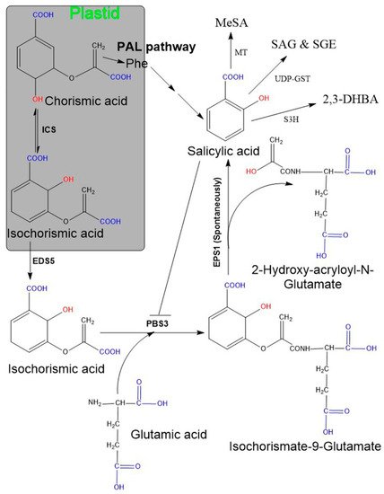 Biomolecules 11 00705 g001 550