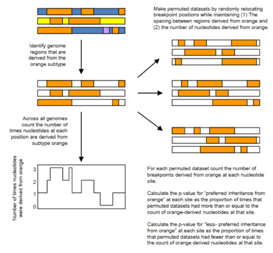 Genes 12 00517 g004 550